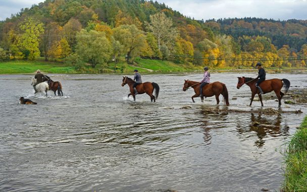 konie na rzece